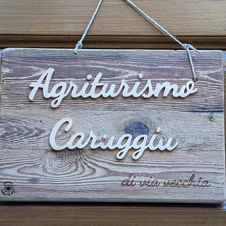 Agriturismo Caruggiu Di Via Vecchia Orco Feglino Esterno foto