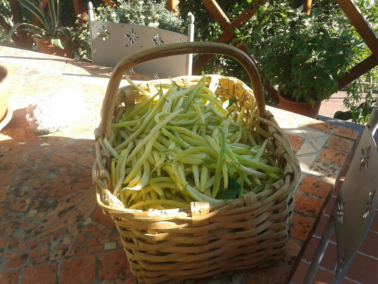 Agriturismo Caruggiu Di Via Vecchia Orco Feglino Esterno foto