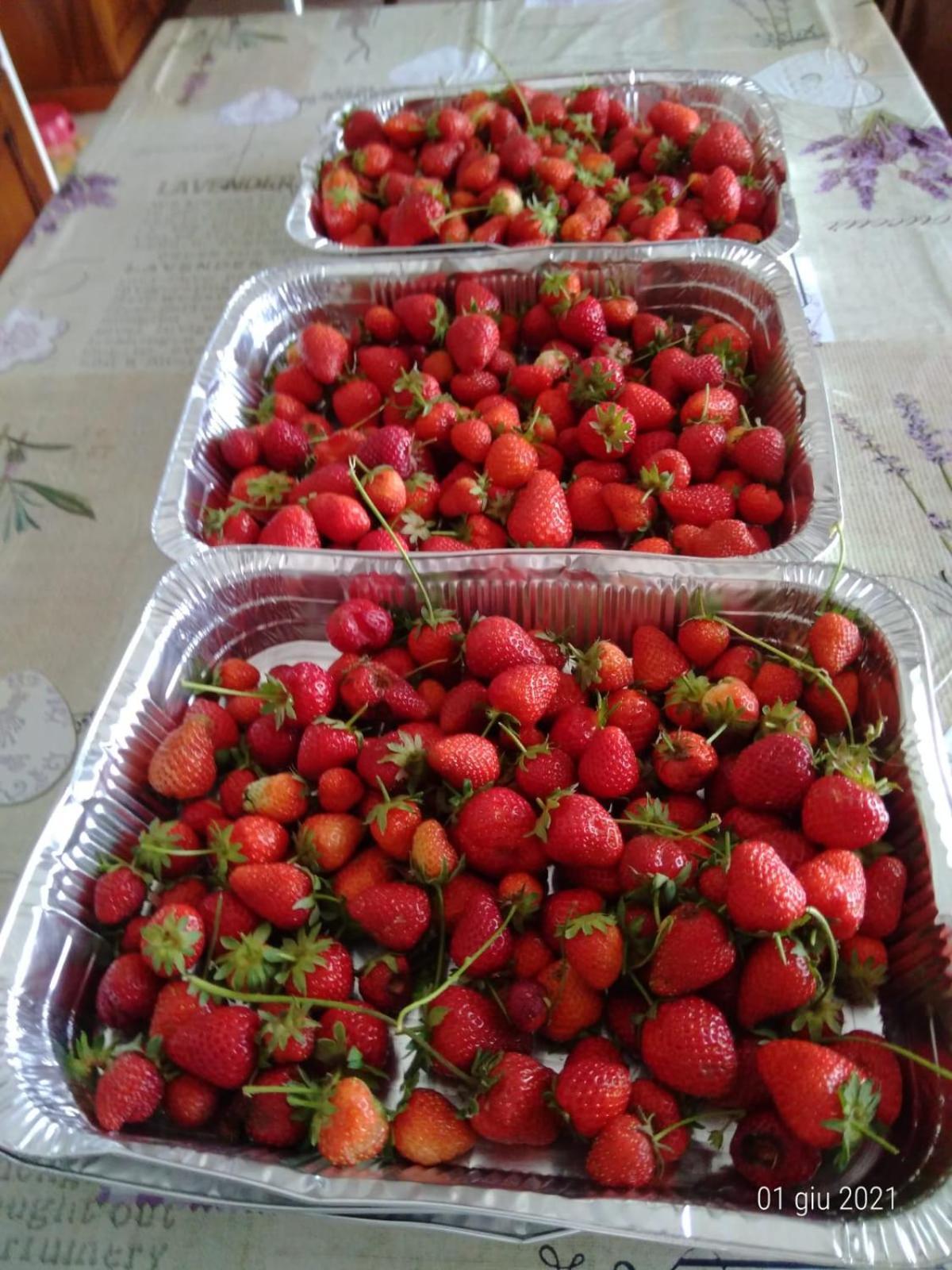 Agriturismo Caruggiu Di Via Vecchia Orco Feglino Esterno foto